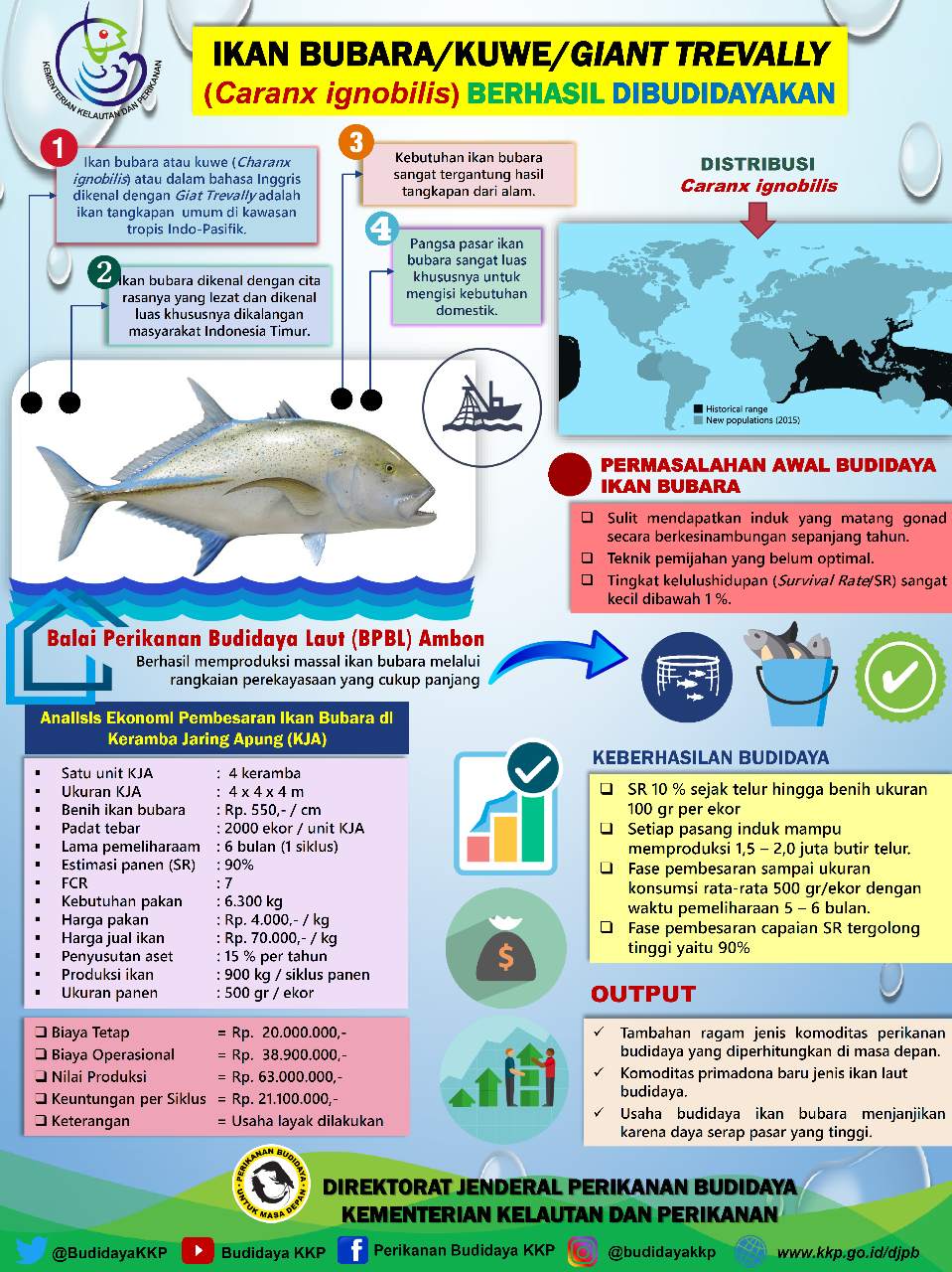 Harga Ikan Kerapu Di Malaysia - Wajib visit dan makan disini kalau ke